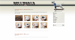 Desktop Screenshot of bullworld.bulterier.pl